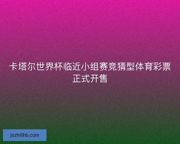 卡塔尔世界杯临近小组赛竞猜型体育彩票正式开售