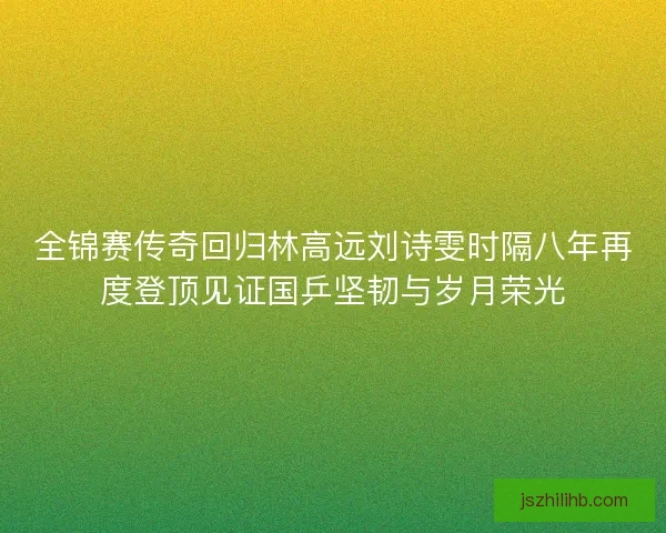 全锦赛传奇回归林高远刘诗雯时隔八年再度登顶见证国乒坚韧与岁月荣光